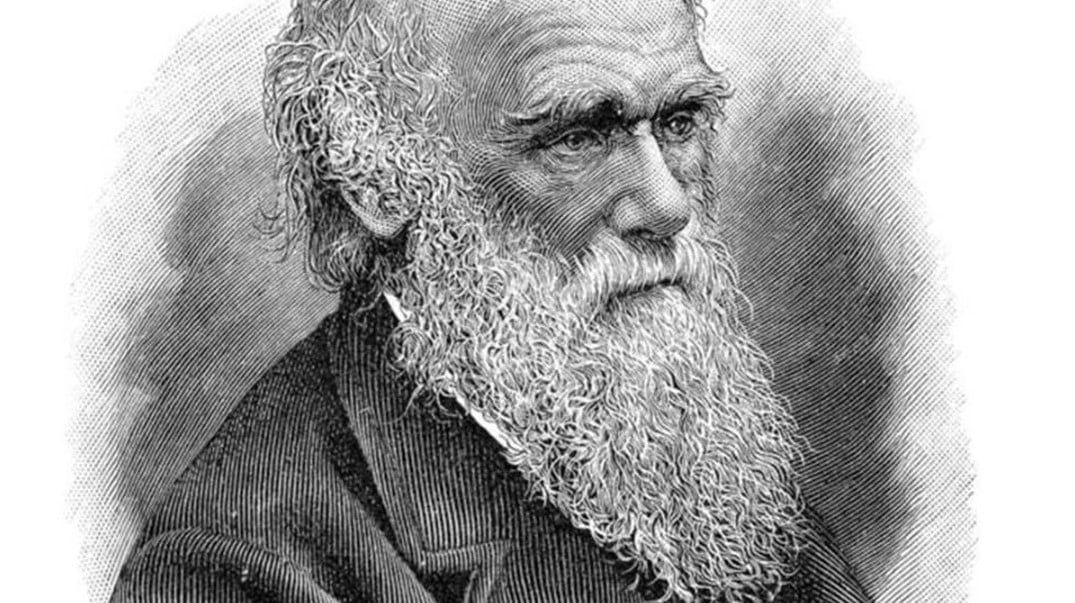 теория эволюции Дарвина